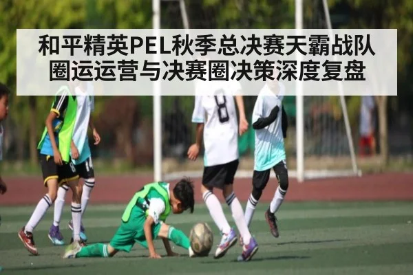 和平精英PEL秋季总决赛天霸战队圈运运营与决赛圈决策深度复盘